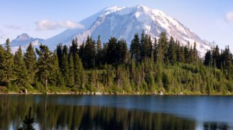 Mt. Rainier behind a line of trees and their reflections in a lake