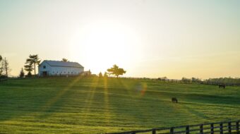 Farmhouse on a sunny field